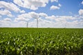 Windmill Farm and Cornfields Royalty Free Stock Photo