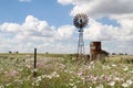 Windmill on a farm between cosmos flowers in the Free State. Royalty Free Stock Photo