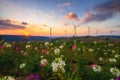 Wind power turbines generating clean renewable energy for sustainable development Royalty Free Stock Photo
