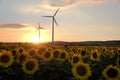 Windmill farm and sunflower field during sunset Royalty Free Stock Photo