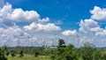 Windmill Field with bright sky and cloud Royalty Free Stock Photo