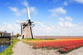 Windmill and flower fields Royalty Free Stock Photo