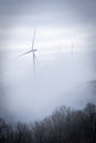 Windmill in a foggy forest