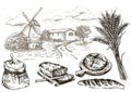 Windmill and fresh bakery products. homemade baking. bakery products. vector sketch on white