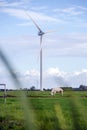 Windmill with fresh green grass and clear blue sky in summer, energy concept with cow in the field Royalty Free Stock Photo