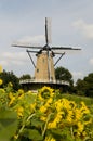 Windmill in Holland Royalty Free Stock Photo