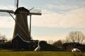 Windmill Holland Beautiful Sky Clouds Mill Animals Farm Dutch Old Blue Purple Grass Tree Hoofddorp