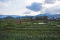 A windmill in huangshan west of huangshan, anhui province