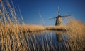 Windmill at Kinderdijk Royalty Free Stock Photo