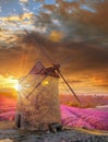 Windmill with levander field against colorful sunset in Provence, France Royalty Free Stock Photo