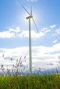 Windmill on a Meadow - Masurian Landscape