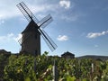 Windmill in the middle of Vineyard in Moulin-a-vent, Beaujolais, France. Royalty Free Stock Photo