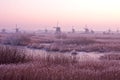 Windmill in the Netherlands at sunset Royalty Free Stock Photo