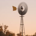 Windmill in a paddock Royalty Free Stock Photo