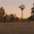 Windmill in a paddock Royalty Free Stock Photo