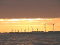 Windmills at sea during sunset