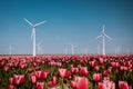 Windmill park turbines, red tulip flower field in the Netherlands, wind mill with flowers green energy Royalty Free Stock Photo