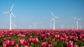 Windmill park turbines, red tulip flower field in the Netherlands, wind mill with flowers green energy Royalty Free Stock Photo