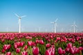 Windmill park turbines, red tulip flower field in the Netherlands, wind mill with flowers green energy Royalty Free Stock Photo