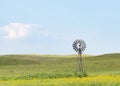 Windmill on a Prairie Surrounded by Native Sunflowers in the Sandhills of Nebraska