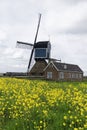 Windmill and Royalty Free Stock Photo