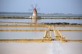 Windmill at the Salt Lake in the Natural Reserve of the Stagnone Islands