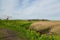 Windmill at Cley-next-the-Sea, Norfolk