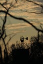 Windmill Silhouette at Sunset with clouds and trees Royalty Free Stock Photo