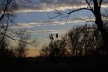 Windmill Silhouette at Sunset with clouds and trees Royalty Free Stock Photo