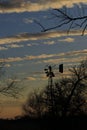 Windmill Silhouette at Sunset with clouds and trees Royalty Free Stock Photo