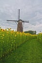 Windmill and sunflowers