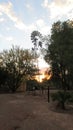 Windmill sunset