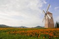 Windmill in Thailand Royalty Free Stock Photo