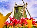 Tulip fest Windmill in Washington Royalty Free Stock Photo