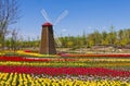 Windmill with tulip field