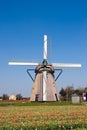 Windmill and tulipfield