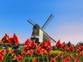 Windmill with tulips.