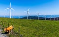 Windmill turbines in agricultural field with ocean background.