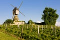 windmill and vineyard near Montsoreau, Pays-de-la-Loire, France Royalty Free Stock Photo