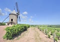 Windmill among vineyards Royalty Free Stock Photo