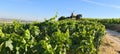 A windmill in the vineyards on a hot summer day in the Champaign region, France Royalty Free Stock Photo