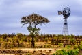 Windmill at a watering hole in the drought stricken northern part of Kruger National Park