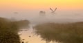 Windmill in wetland