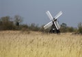 Windmill at Wicken Fen, Cambridgeshire, UK Royalty Free Stock Photo