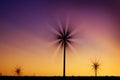 Windmill Wind Turbine Spinning in Wind at Sunset or Sunrise