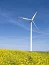 Windmill in yellow field Royalty Free Stock Photo