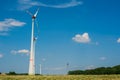 Windmills against the blue sky. Poppy and chamomile fields of Europe. The concept of eco-friendly electricity Royalty Free Stock Photo