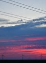 Windmills against a rainbow evening sky