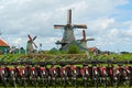 Windmills and bicycles in Zaandam, Netherlands Royalty Free Stock Photo