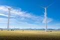 Windmills on Canadian prairie fields with cattle grazing near Pincher Creek Alberta Canada